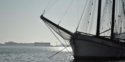 boat-toronto-harbour-front-harbour-571001.jpg