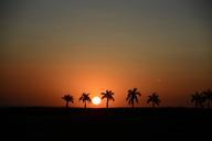 sunset-silhouette-horizon-sol-787264.jpg