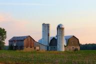 farm-barn-silo-corn-sunset-sky-316160.jpg