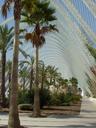 mexico-palms-palm-trees-structure-92982.jpg