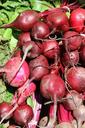 Pike_Place_Farmers_Market_Express_@_City_Hall_Plaza,_July_23,_2013.jpg