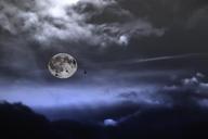 full-moon-night-pipisterelli-luna-496197.jpg