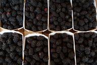 blackberries-berries-healthy-862892.jpg