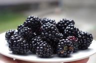 blackberries-on-a-plate-black-fruit-1045728.jpg