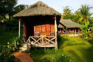 straw-hut-cabin-vietnam-hut-straw-975907.jpg