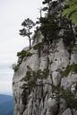 rock-mountain-landscape-nature-575576.jpg