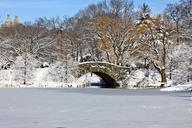 Winter-Central-Park-Manhattan-New-York.jpg