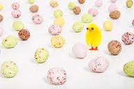 chicken-celebration-colored-15864.jpg