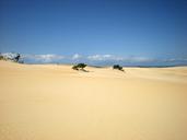 sand-dunes-sky-sand-light-nature-1678603.jpg