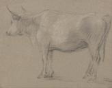 Thomas_Gainsborough_-_Study_of_a_Cow_-_Google_Art_Project.jpg