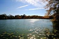 fresh-water-lake-inland-sunlight-1003607.jpg