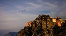 cinque-terre-italy-nature-334244.jpg