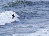 surfer-sea-surfing-beach-sport-1004556.jpg