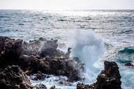 waves-water-rock-crashing-ocean-1030963.jpg