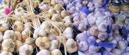 garlic-vegetable-festival-autumn-788831.jpg