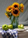 sunflowers-apples-life-still-1599685.jpg