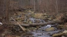 river-creek-forest-autumn-rocks-651937.jpg