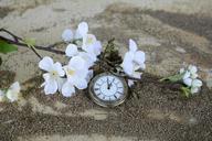 pocket-watch-time-of-sand-1637392.jpg