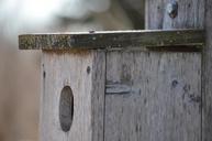 birdhouse-wooden-old-bird-box-667947.jpg