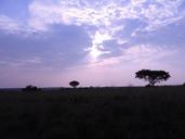 uganda-twilight-landscape-240279.jpg