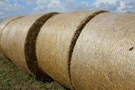 straw-feed-halmbal-around-417382.jpg