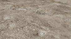 earth-soil-floor-dry-1214416.jpg