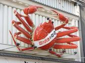 seafood-crab-japan-osaka-363622.jpg