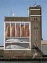 bread-fish-silo-port-breskens-205381.jpg