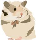 hamster-cute-sweet-animal-pet-1151309.png