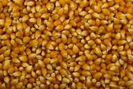 food-popcorn-orange-natural-eating-686925.jpg