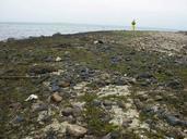 Worker cleaning up after oil spill.jpg