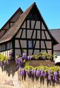 fachwerkhaus-wisteria-truss-1703856.jpg