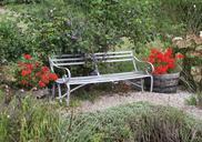 bench-garden-red-plant-flowers-407253.jpg