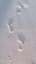 beach-footprint-sand-beach-615045.jpg