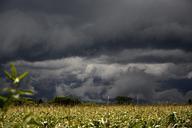 storm-rain-clouds-clouds-sol-642614.jpg