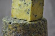 cheese-blue-mold-home-production-928851.jpg