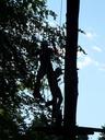 high-ropes-course-obstacle-climb-58663.jpg