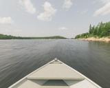 boat-speed-lake-water-coast-shore-847655.jpg