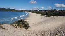 sand-dunes-beach-ocean-1545139.jpg