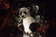 panda-ice-ijsfiguur-art-1156636.jpg