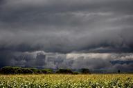 storm-rain-clouds-clouds-sol-642636.jpg