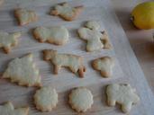 cookie-winter-christmas-bake-65596.jpg