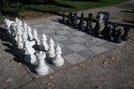 chess-chess-board-chess-pieces-195742.jpg