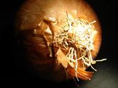 onion-vegetables-cook-16613.jpg