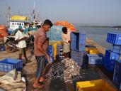 fishing-harbour-catch-river-627112.jpg