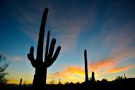 arizona-sunrise-nature-landscape-83770.jpg