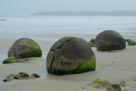 boulders-moeraki-koekohe-beach-sea-717910.jpg