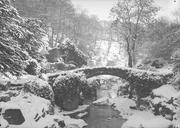 Jesmond_Dene_in_Winter.jpg