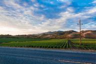 street-drive-farmland-field-691882.jpg