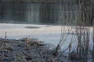 winter-lake-frost-landscape-pond-1592830.jpg